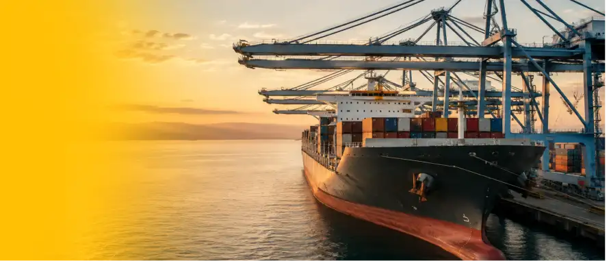 Global logistics and shipping